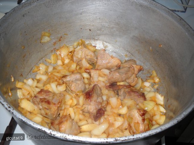 Tocanita de porc cu ceapa si ardei copt