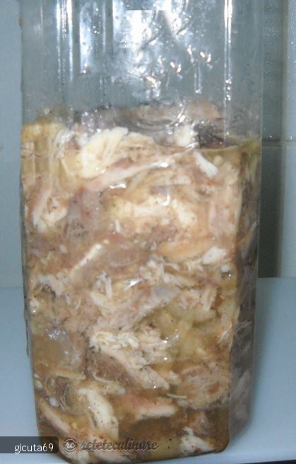 Toba de pui si porc