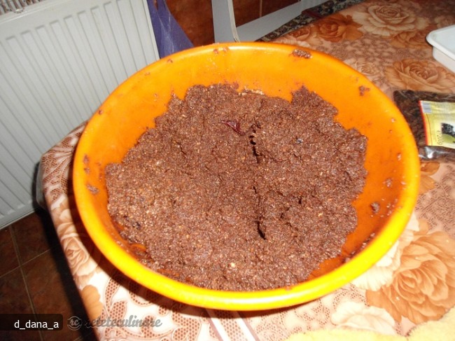 Rulada de Biscuiti (de Post)