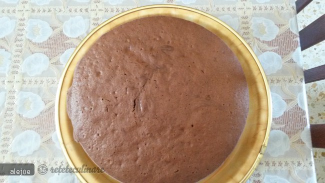 Tort cu Crema de Ciocolata si Capsuni