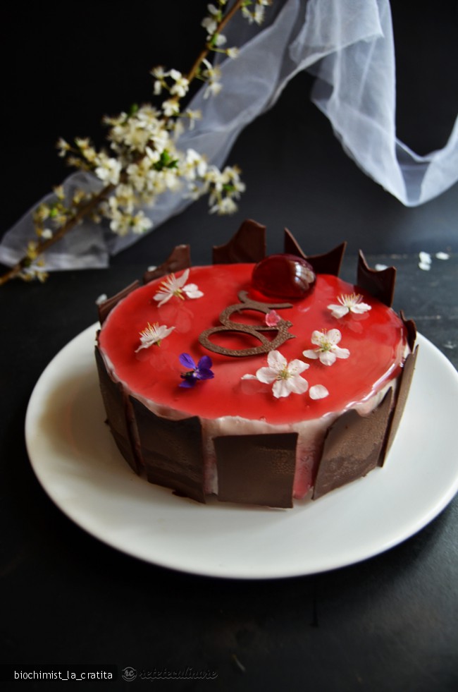Tort Passion, cu Ciocolata si Jeleu de Hibiscus
