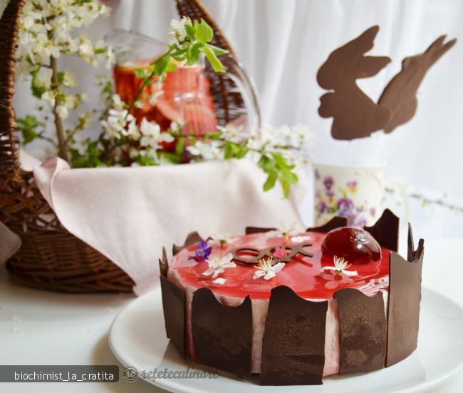 Tort Passion, cu Ciocolata si Jeleu de Hibiscus