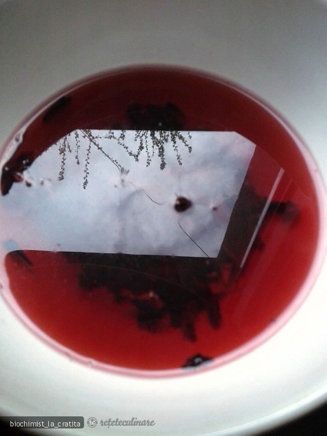 Tort Passion, cu Ciocolata si Jeleu de Hibiscus