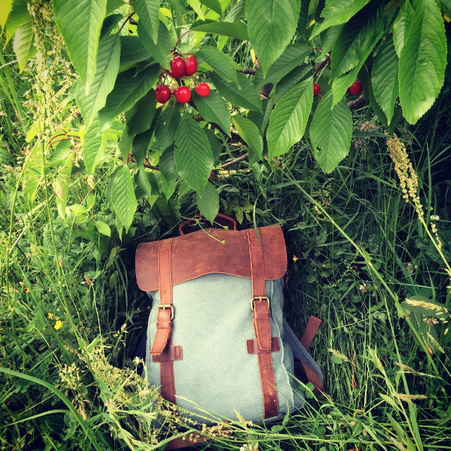 Cele mai frumoase poze cu ciresele romanesti de pe Instagram