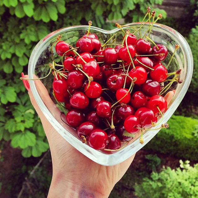 Cele mai frumoase poze cu ciresele romanesti de pe Instagram