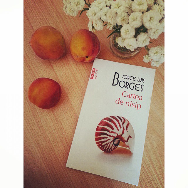 Cele mai frumoase poze cu piersicile romanesti de pe Instagram