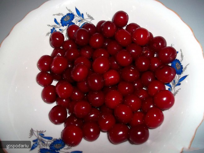 Clafoutis cu Visine
