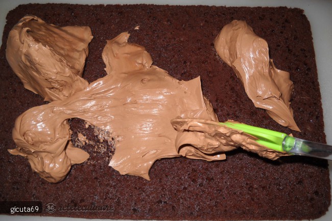 Prajitura cu Mascarpone si Ciocolata