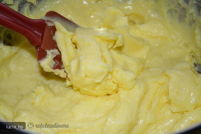 Prajitura cu Mere si doua Creme, Vanilie si Ciocolata