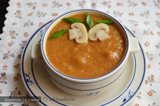 Supa Crema de Ciuperci - de post, pregatita cu blenderul Oster