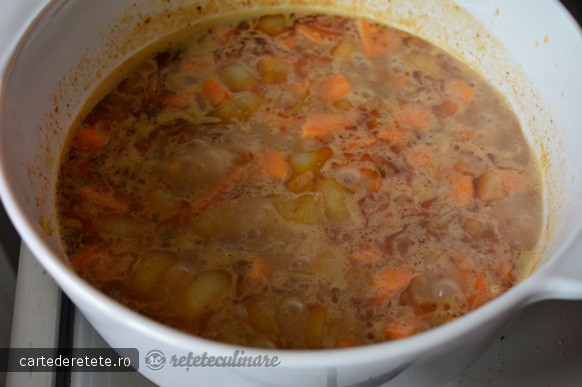 Supa Crema de Cartof Dulce cu Cocos si Curry Rosu - de post, pregatita cu blenderul Oster