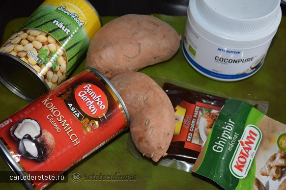 Supa Crema de Cartof Dulce cu Cocos si Curry Rosu - de post, pregatita cu blenderul Oster
