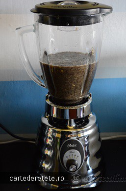 Supa Crema de Ciuperci - de Post, Pregatita cu Blenderul Oster