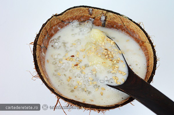 Supa Crema de Banane cu Tapioca - de Post, Pregatita cu Blenderul Oster