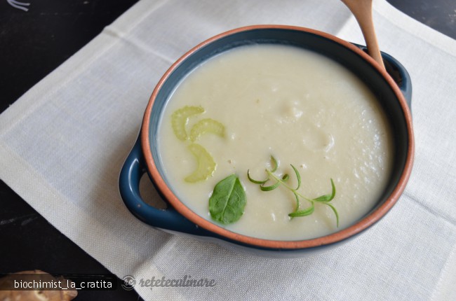 Supa Crema de Topinambur - de post, pregatita cu blenderul Oster