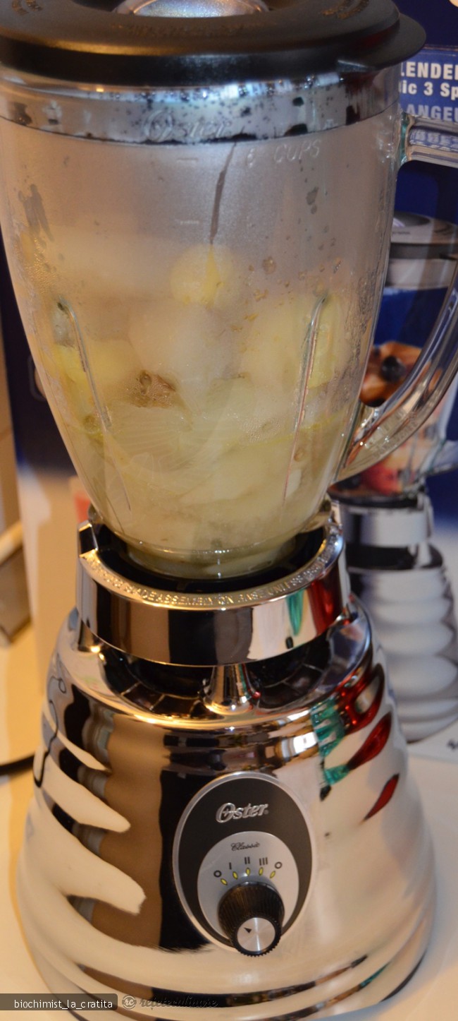 Supa Crema de Topinambur - de post, pregatita cu blenderul Oster
