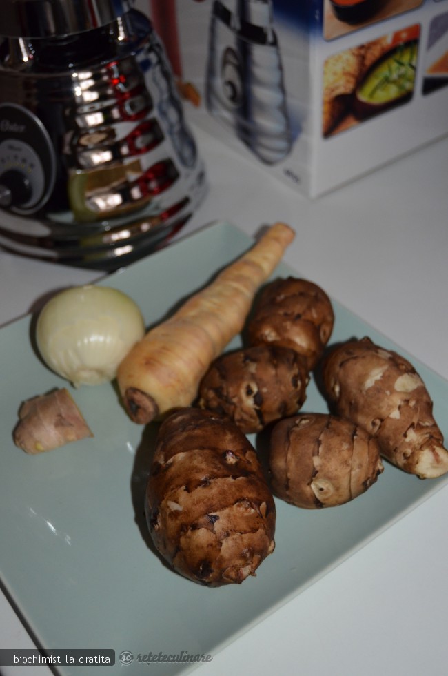 Supa Crema de Topinambur - de post, pregatita cu blenderul Oster