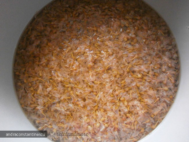 Sirop din flori de salcam