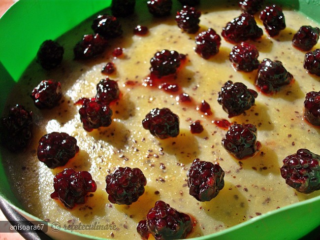 Prajitura cu jeleu de fructe