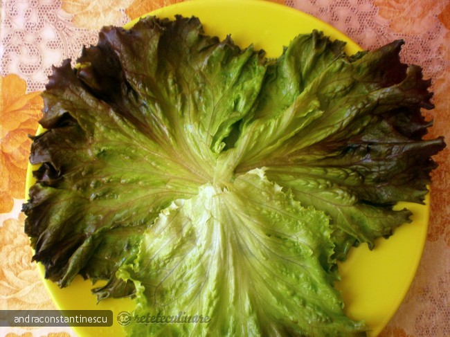 Salata cu de toate