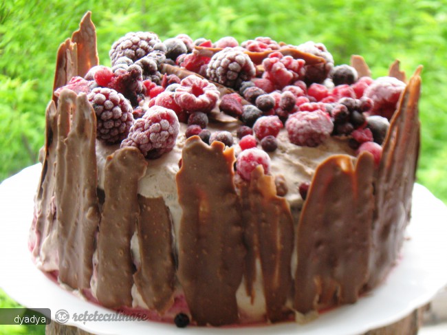 Tort cu Fructe de Padure si Crema de Ciocolata