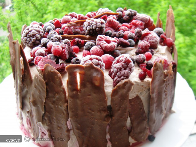 Tort cu Fructe de Padure si Crema de Ciocolata
