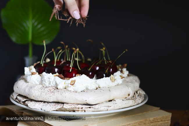 Pavlova Padurea Neagra