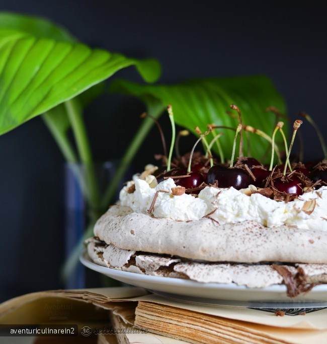 Pavlova Padurea Neagra