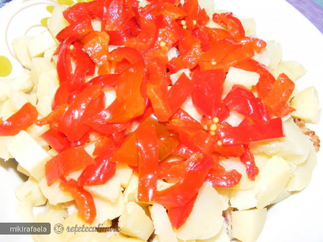 Salata de Cartofi (cu Resturi de Friptura)