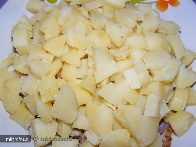 Salata de Cartofi (cu Resturi de Friptura)