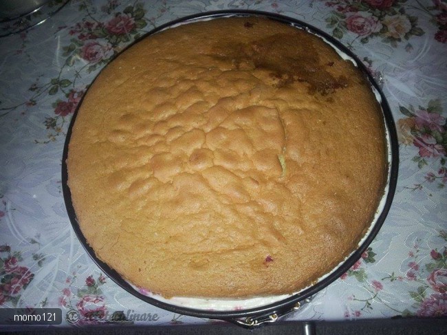 Tort Fluture cu Crema de Sampanie si Fructe de Padure