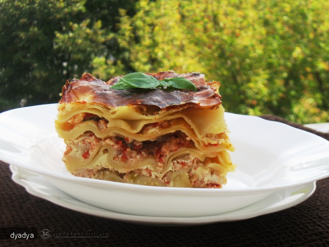 Lasagna cu Pui