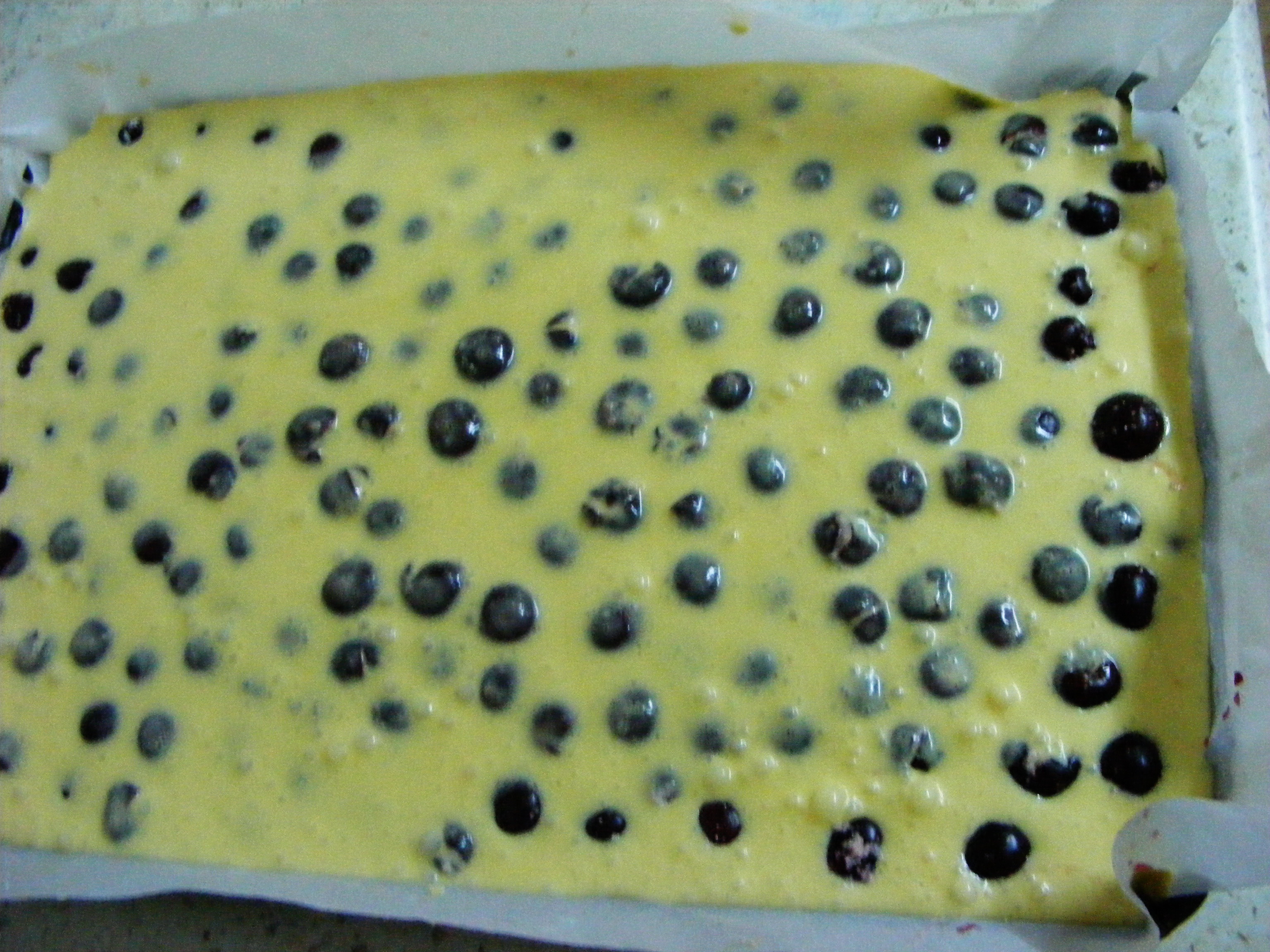 Placinta din aluat fraged cu fructe si crema