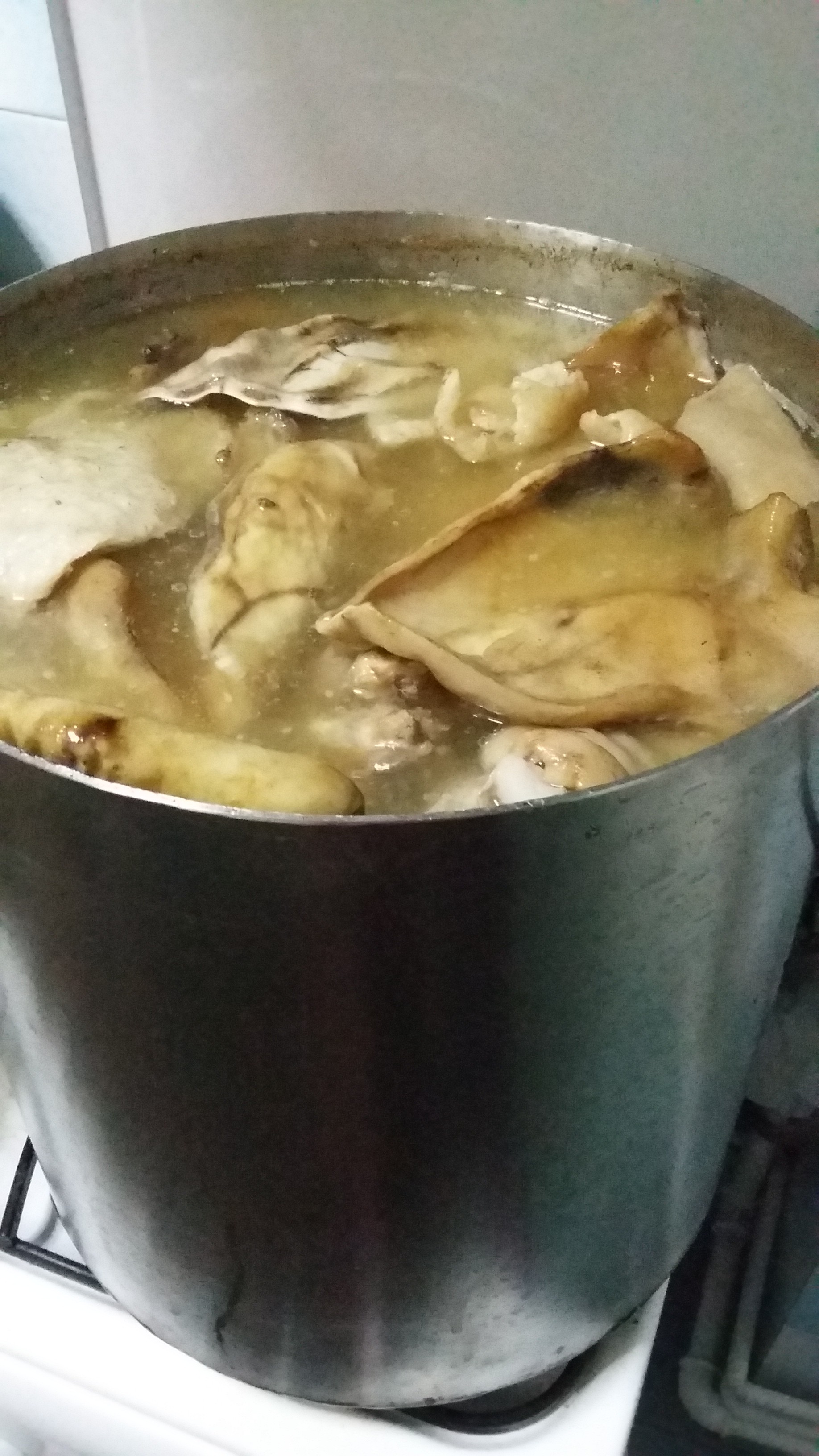 Racitura de porc