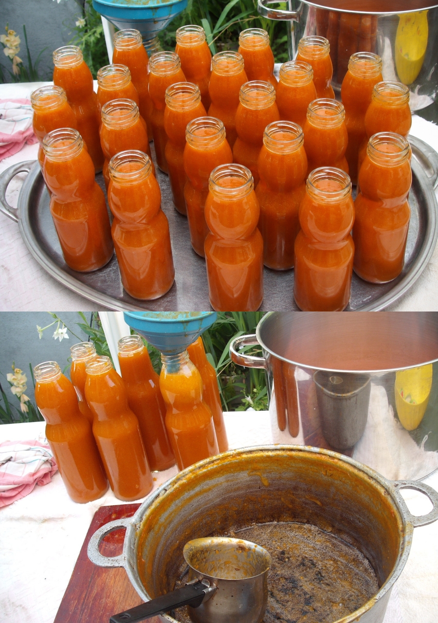 Nectar de caise