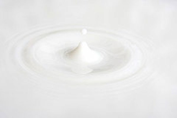 Pastrarea produselor lactate