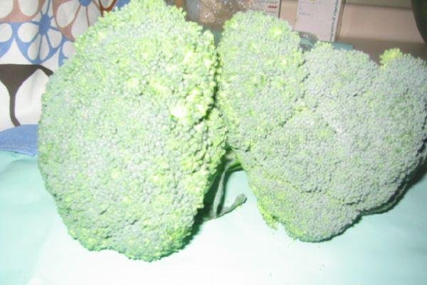 Broccolli la Cuptor