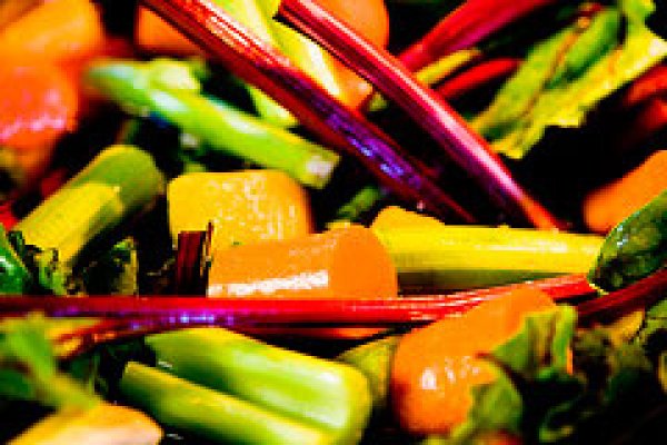 Nutritie, sanatate si vitalitate