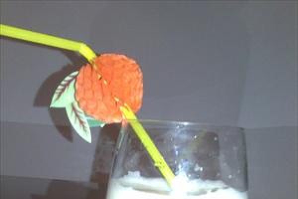 Florida Egg-Nog