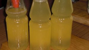 Sirop de Pepene Galben, Conservat Pentru Iarna