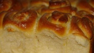 Cuib de viespi
