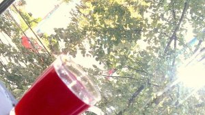 Fructe de Coacaze Rosii pentru Iarna