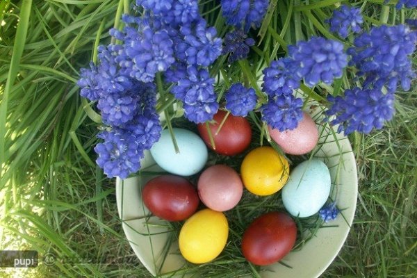 Coloranti Naturali Pentru Ouale de Paste