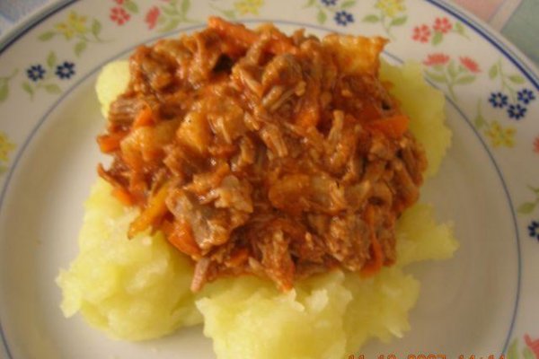 Ropa Vieja - Haine Vechi