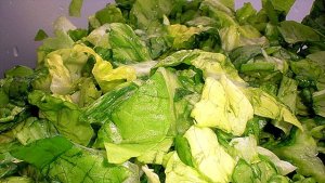 Salata Simpla de Salata Verde