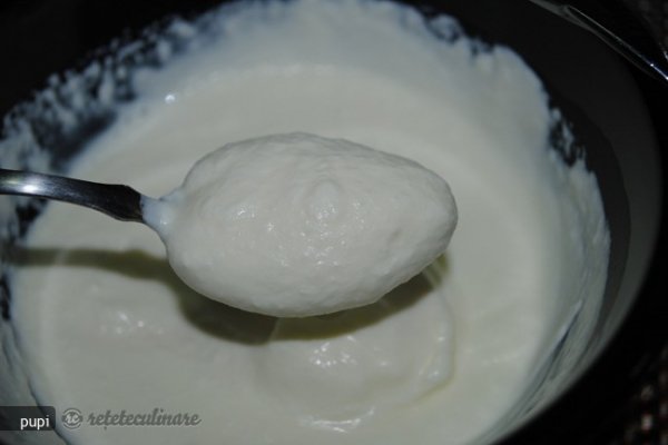 Creme Fraiche (Smantana `falsa` proaspata)