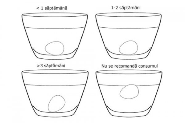 Cum alegem ouale proaspete