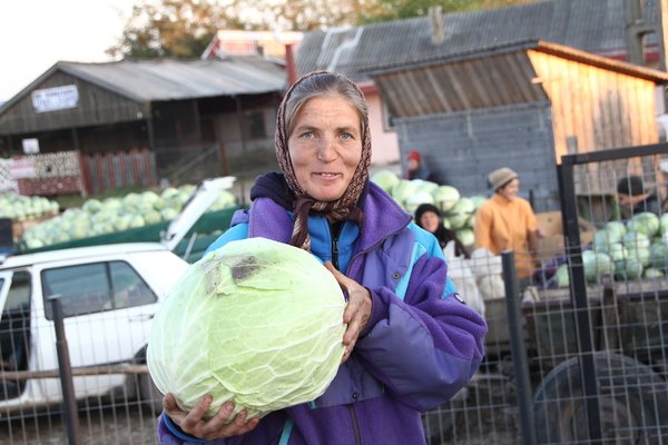 Orasul muraturilor din Romania - butoaiele cu castraveti murati plutesc in iazuri