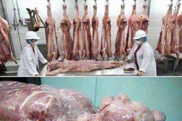 China, acuzata ca foloseste resturi umane in conservele de carne pe care le exporta
