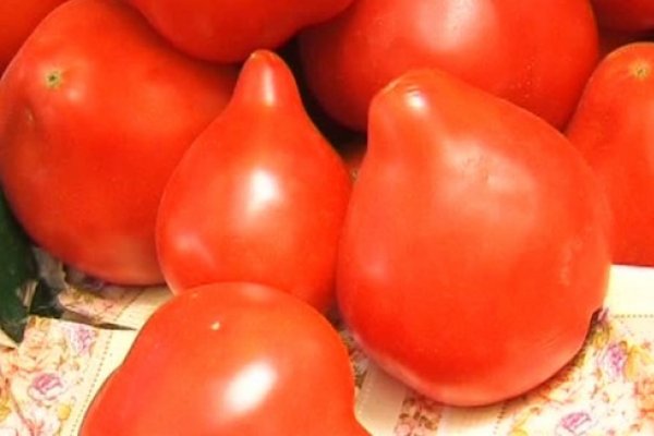 Adevarul despre rosiile cu mot - contin chimicale in exces